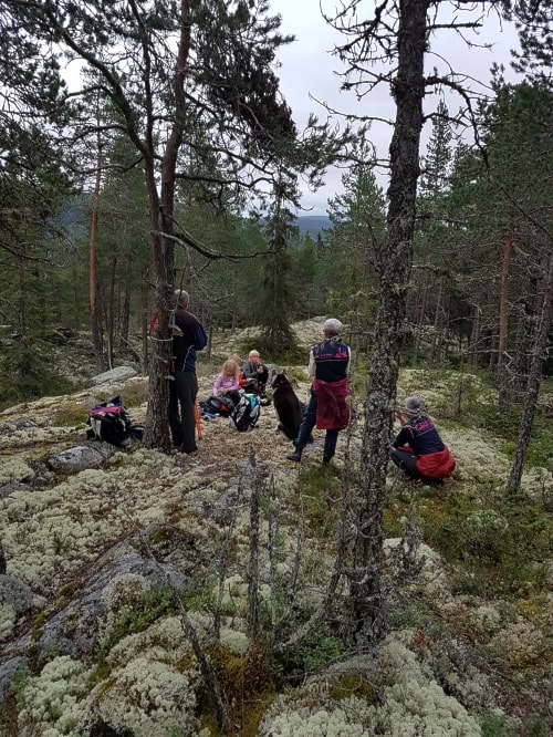 Haustprogram